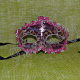 Masti elegante de carnaval - accesorii Photoboth